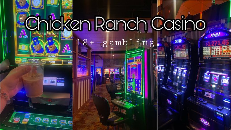 Overview of chicken road casino