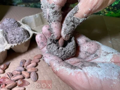 bolas de vida (1)