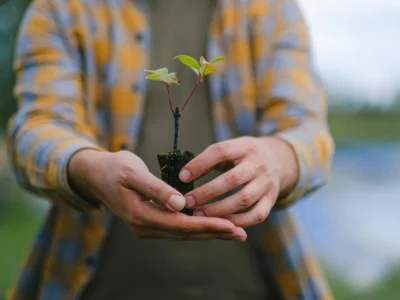 reforestacion (1)