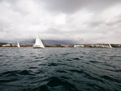regatta (3)